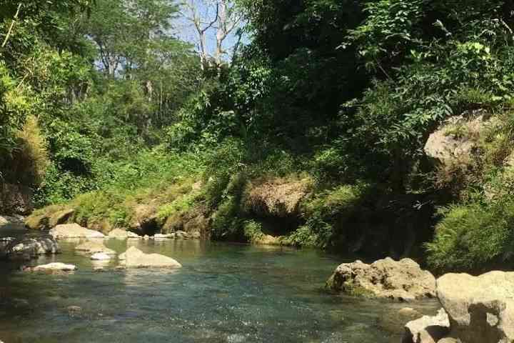 post_photo_1754292078.jpg